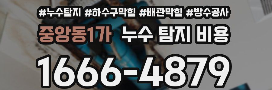 중앙동1가 누수 탐지 비용