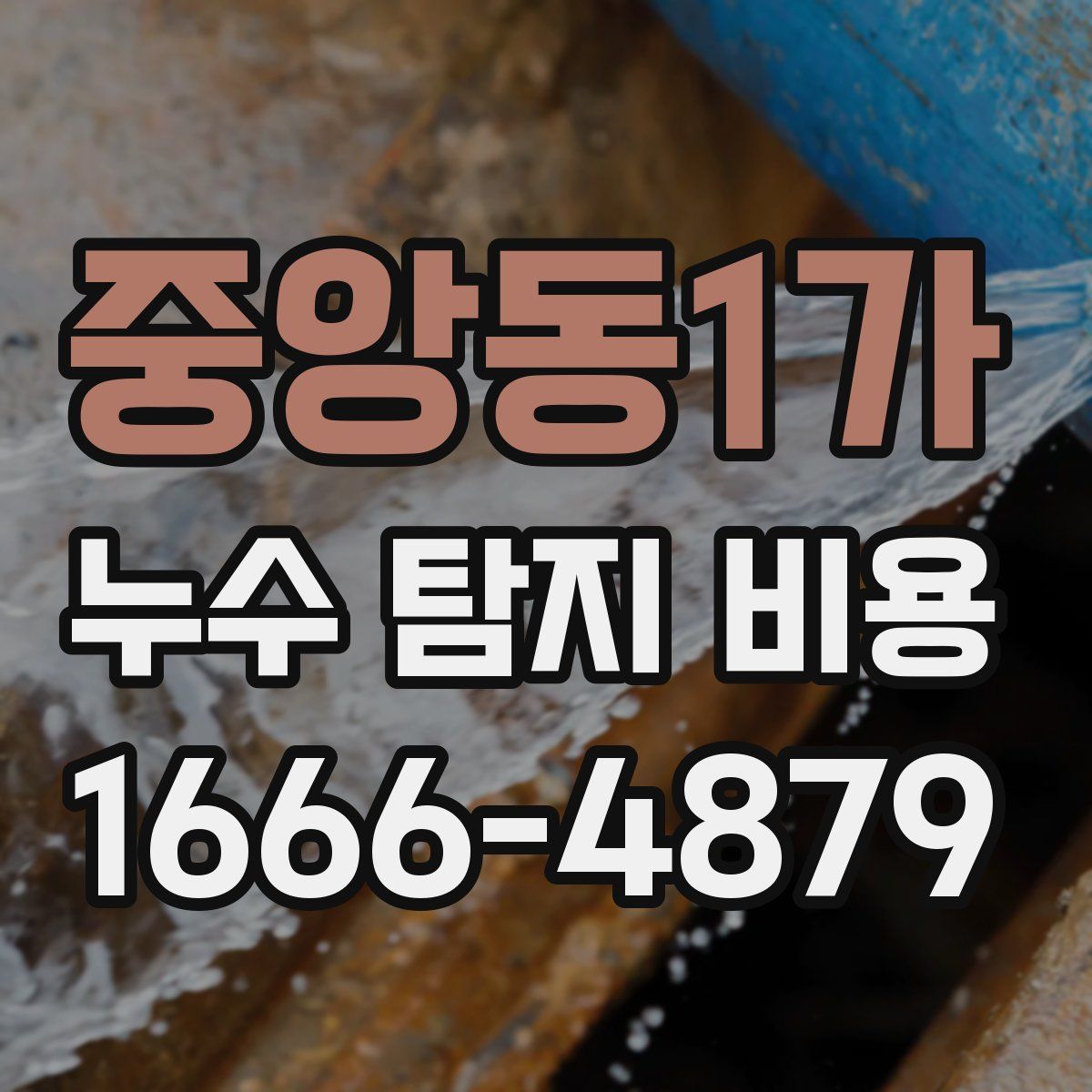 중앙동1가 누수 탐지 비용