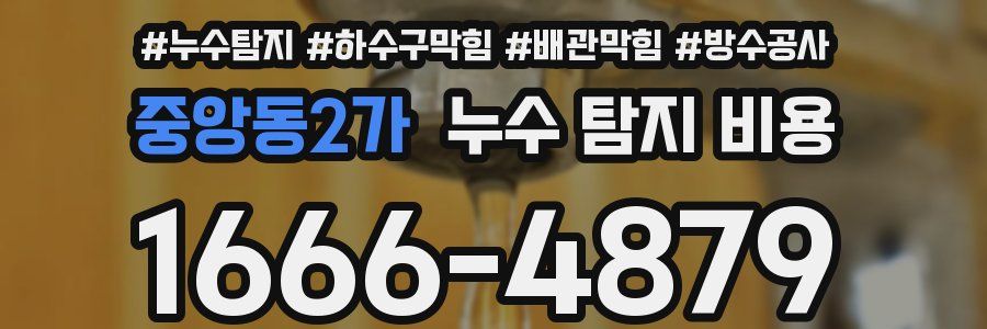 중앙동2가 누수 탐지 비용