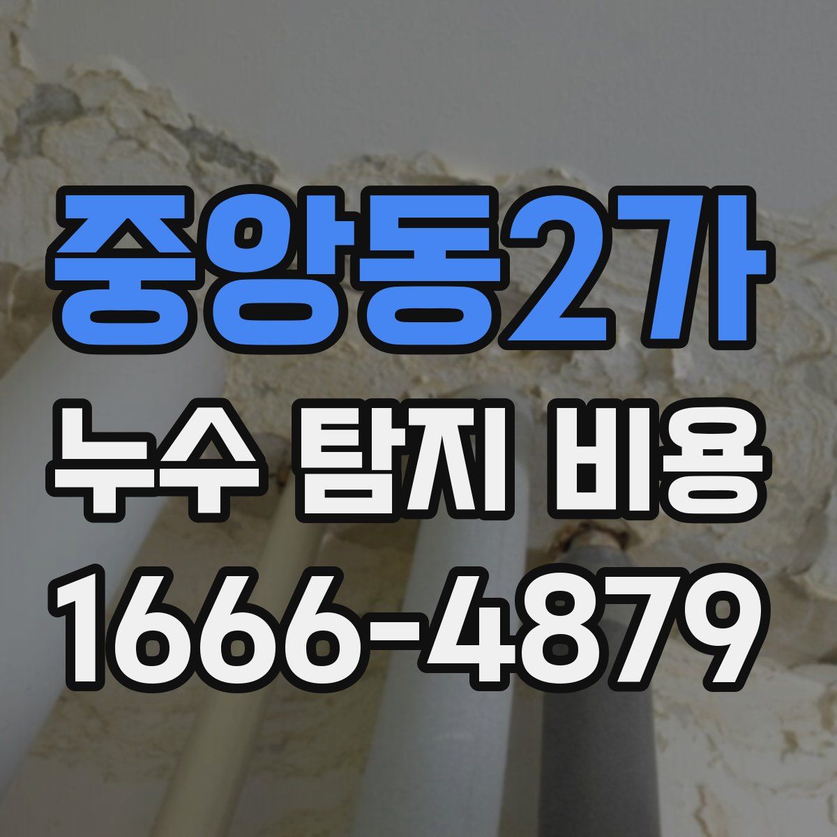 중앙동2가 누수 탐지 비용