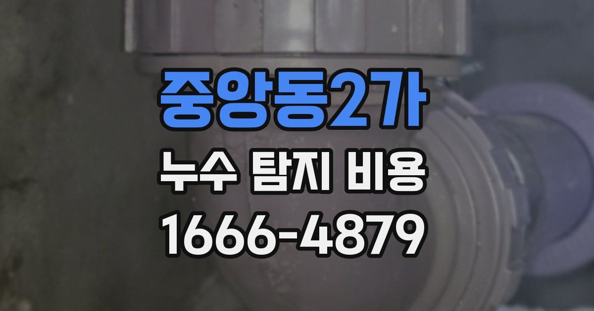 중앙동2가 누수 탐지 비용