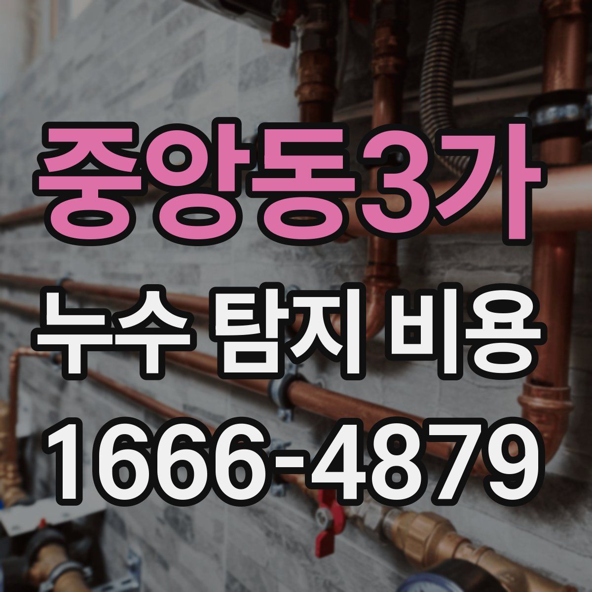 중앙동3가 누수 탐지 비용