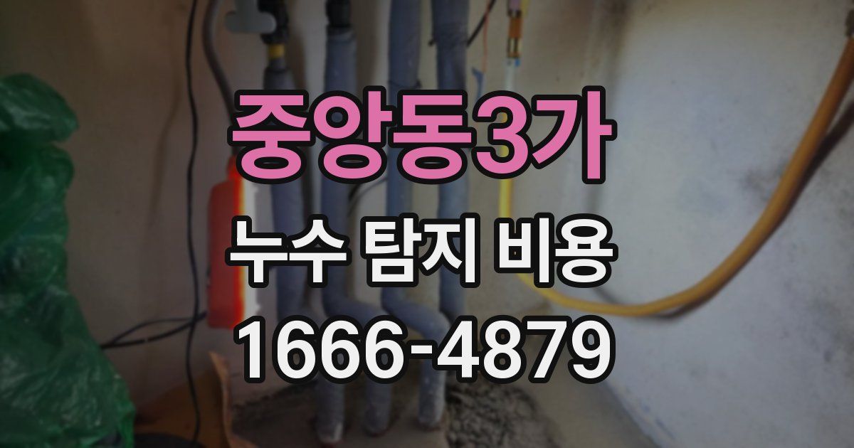 중앙동3가 누수 탐지 비용