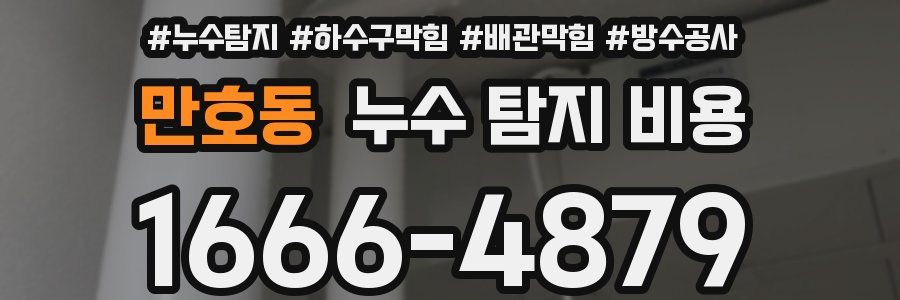 만호동 누수 탐지 비용