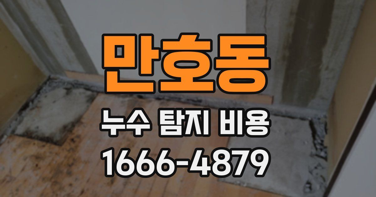 만호동 누수 탐지 비용