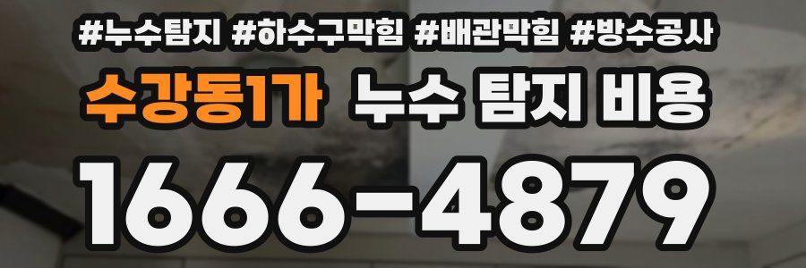수강동1가 누수 탐지 비용