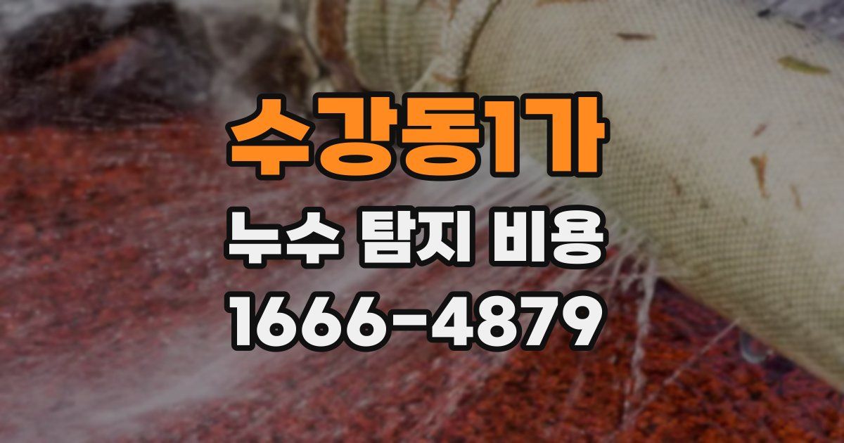 수강동1가 누수 탐지 비용