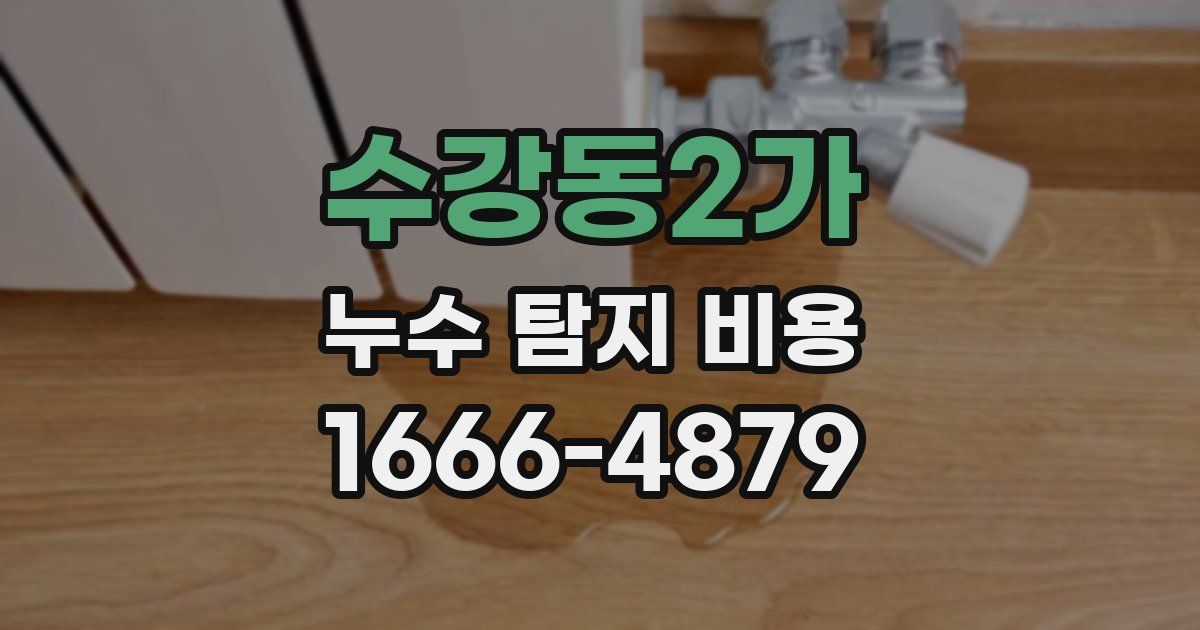 수강동2가 누수 탐지 비용