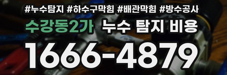 수강동2가 누수 탐지 비용