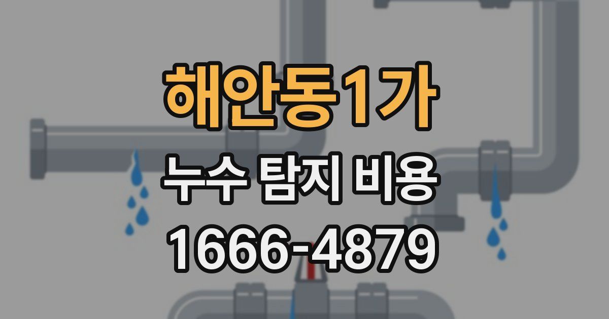 해안동1가 누수 탐지 비용
