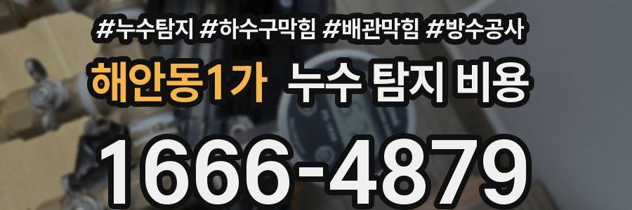해안동1가 누수 탐지 비용