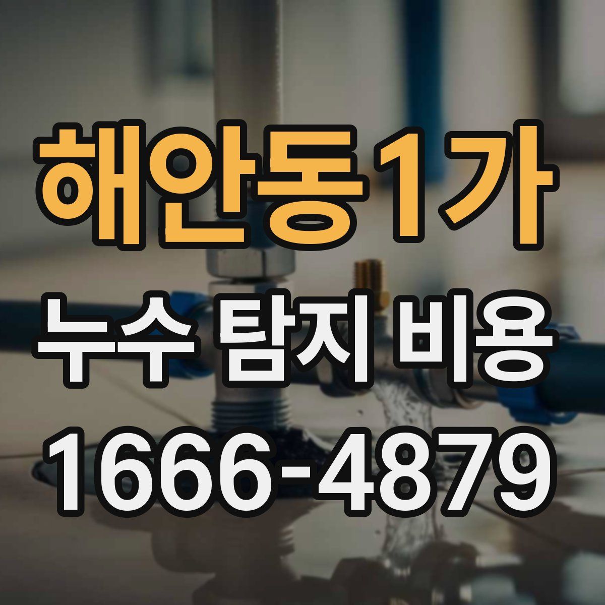 해안동1가 누수 탐지 비용