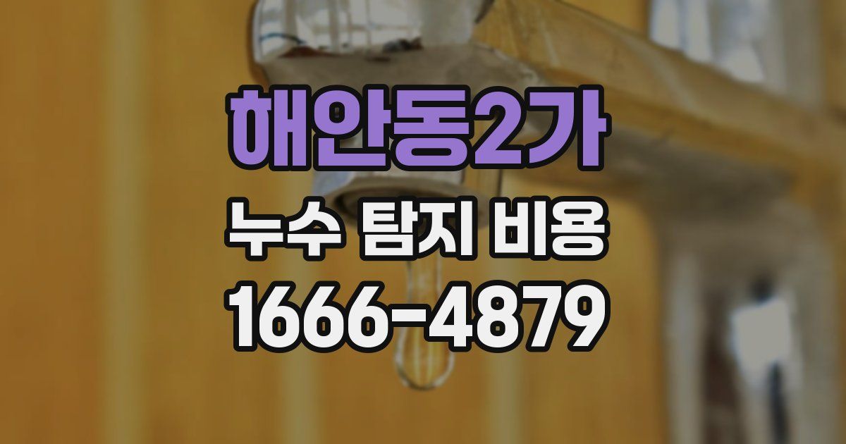 해안동2가 누수 탐지 비용