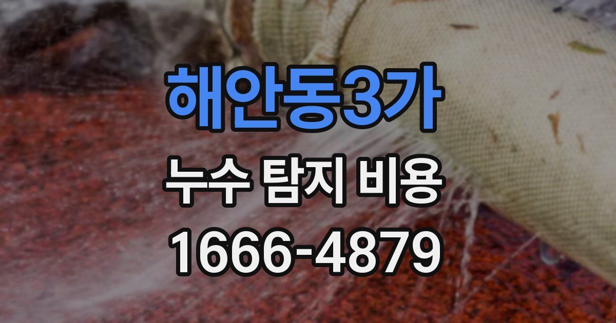해안동3가 누수 탐지 비용
