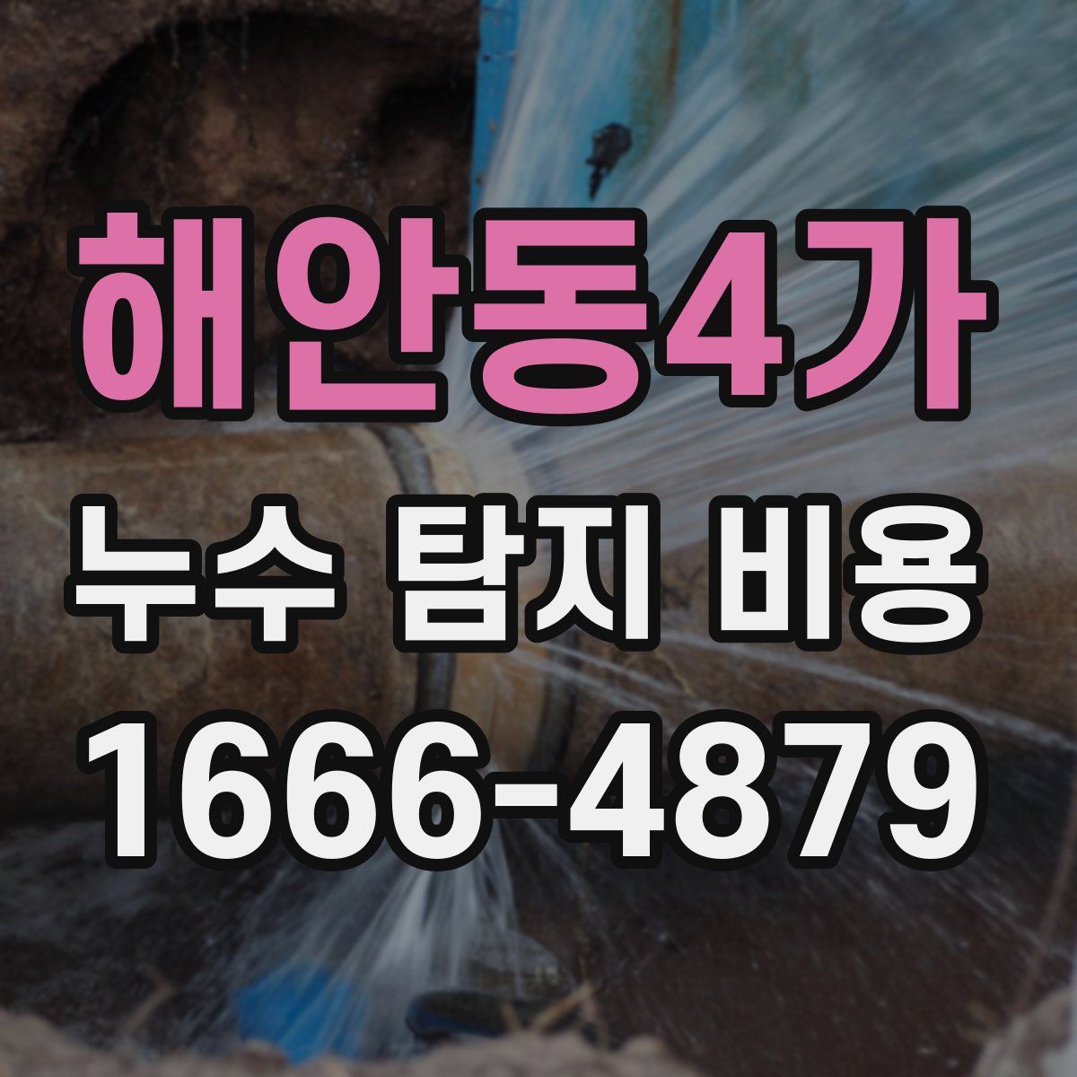 해안동4가 누수 탐지 비용