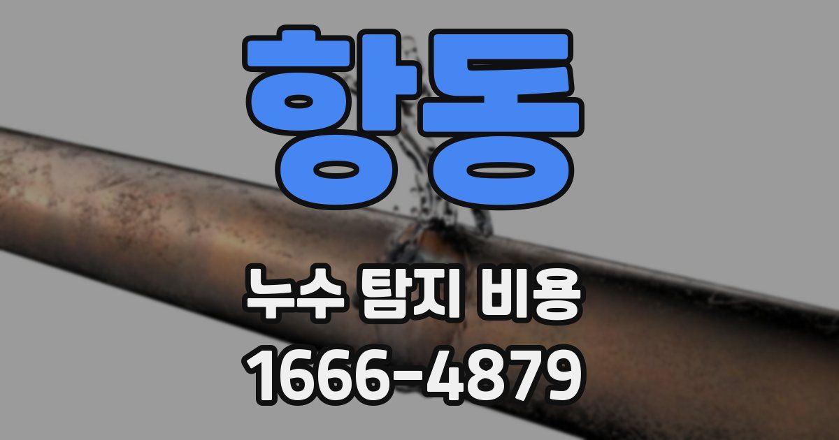 항동 누수 탐지 비용