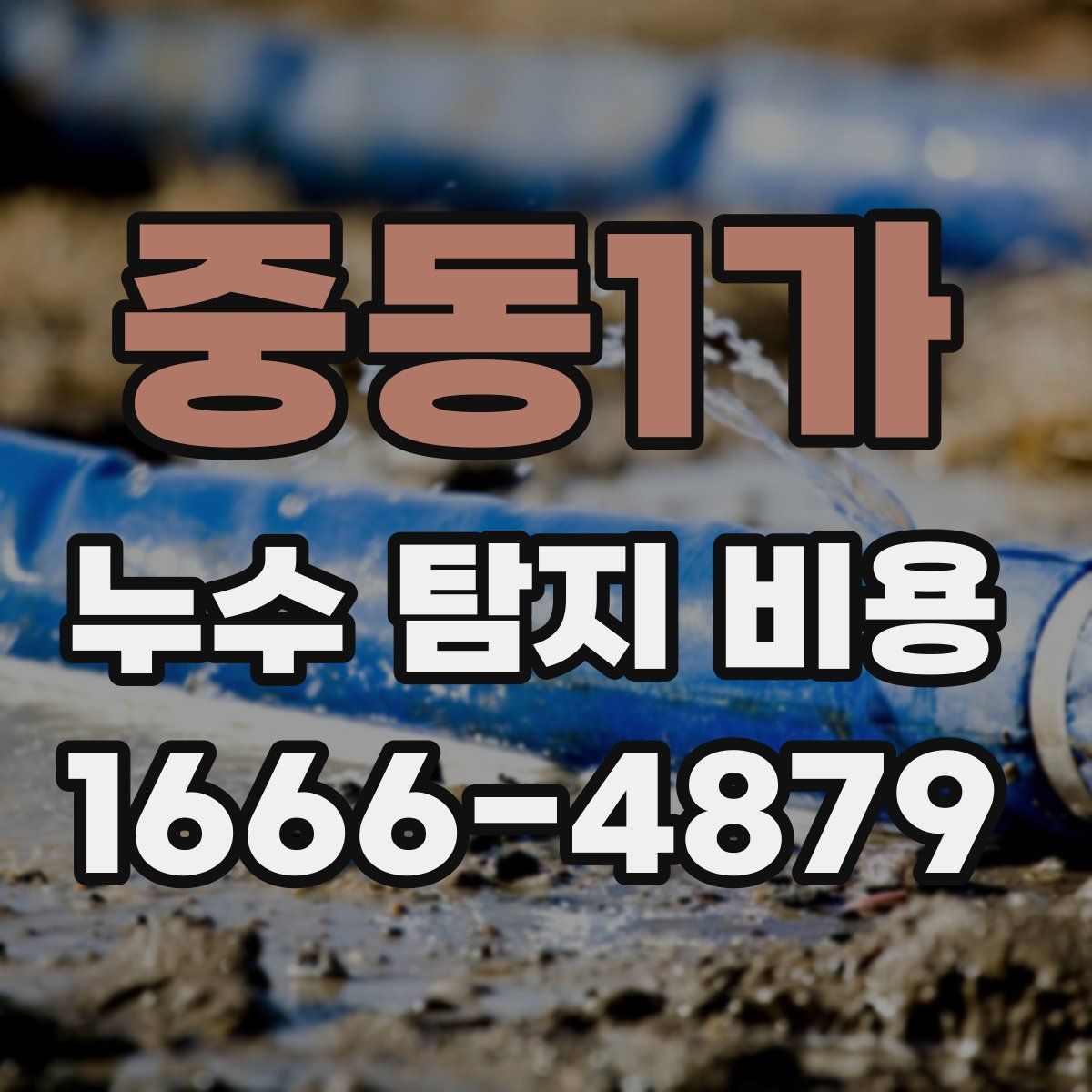 중동1가 누수 탐지 비용