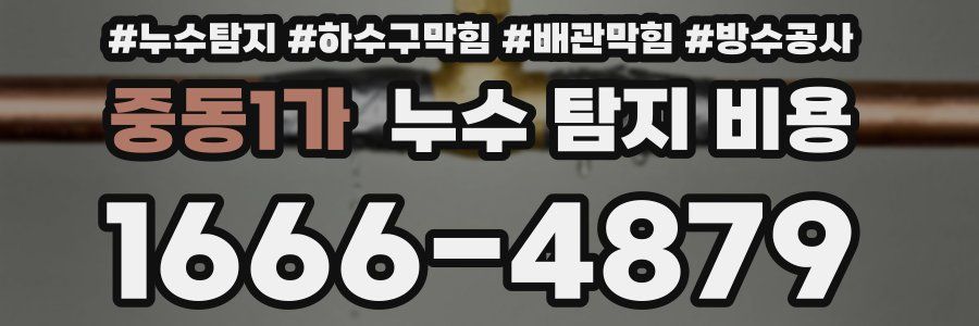 중동1가 누수 탐지 비용
