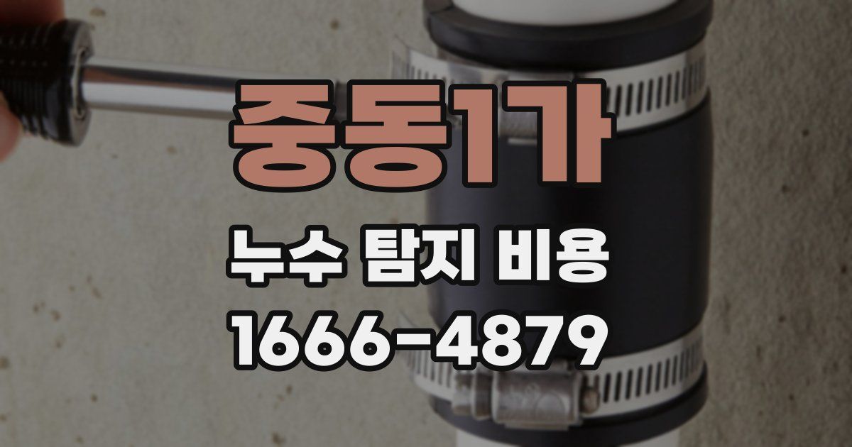 중동1가 누수 탐지 비용