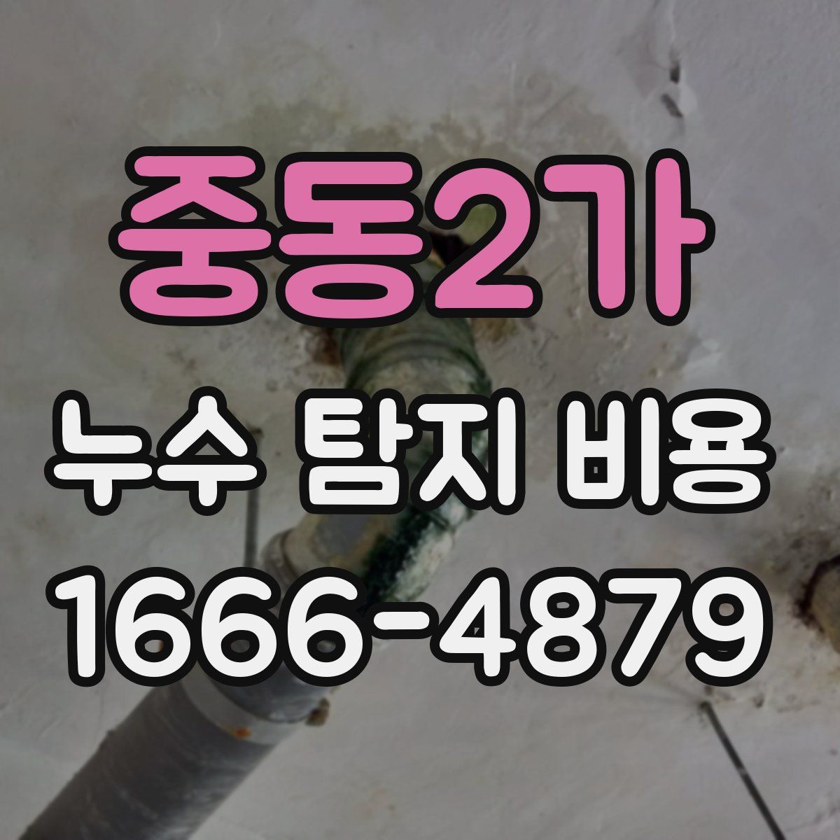 중동2가 누수 탐지 비용