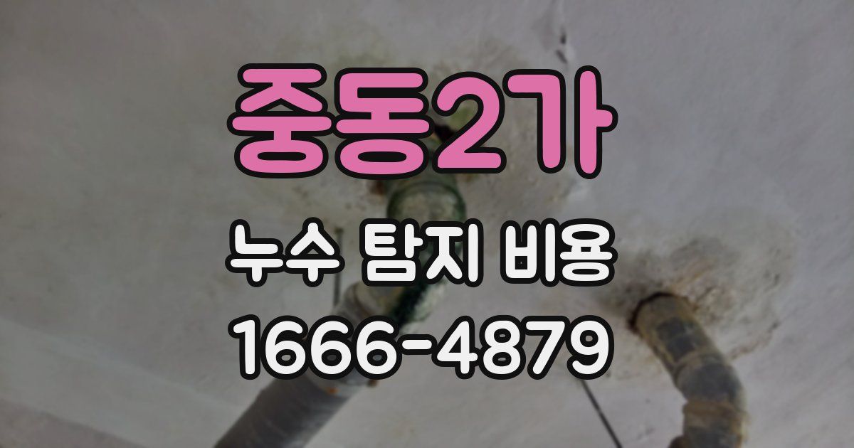 중동2가 누수 탐지 비용