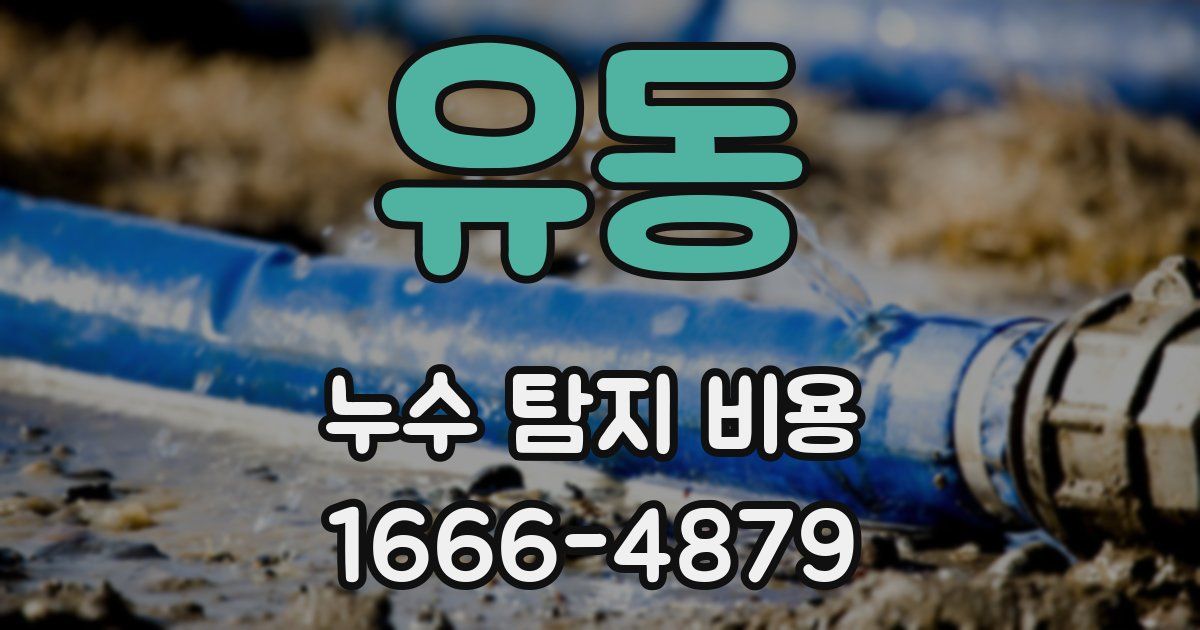 유동 누수 탐지 비용