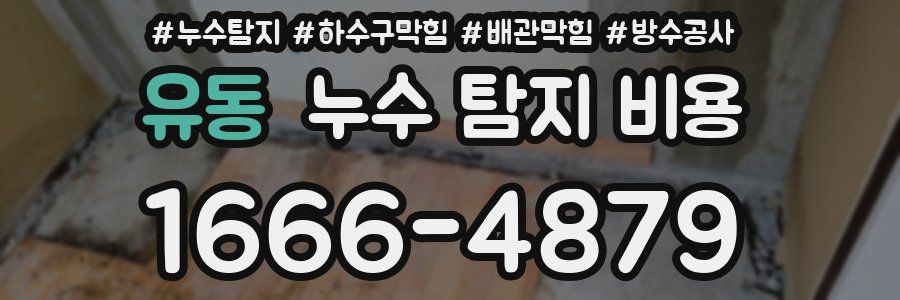 유동 누수 탐지 비용