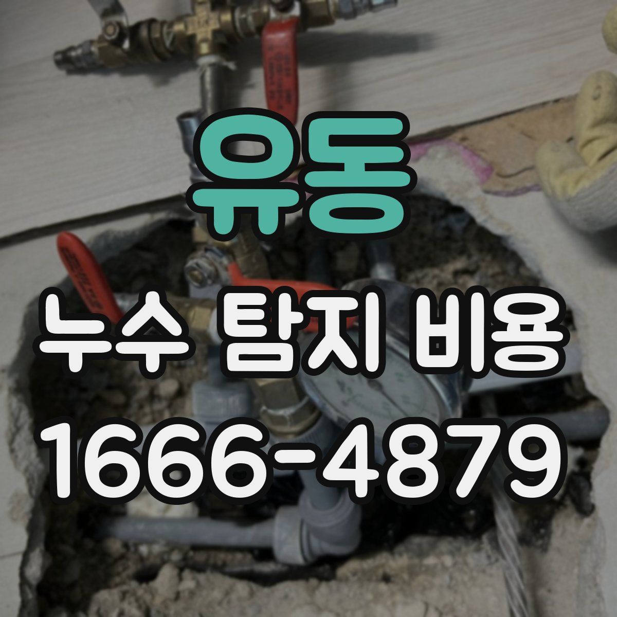 유동 누수 탐지 비용