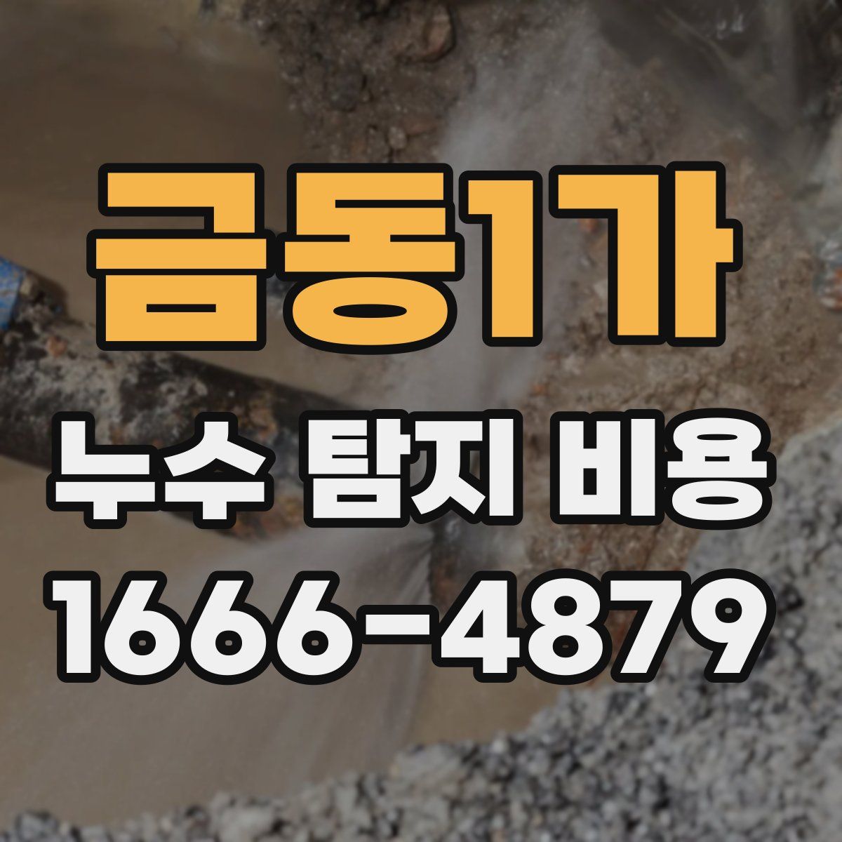 금동1가 누수 탐지 비용