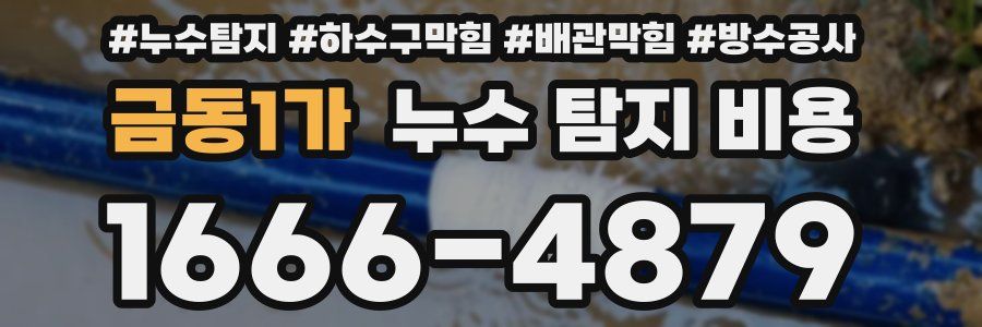 금동1가 누수 탐지 비용