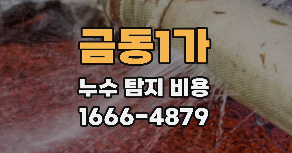 금동1가 누수 탐지 비용