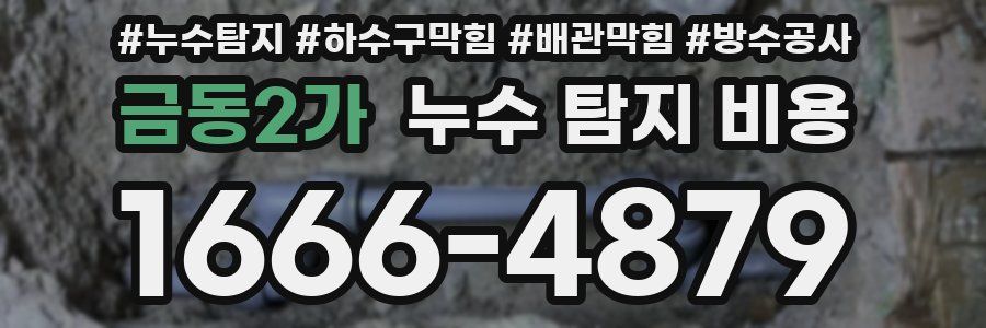금동2가 누수 탐지 비용