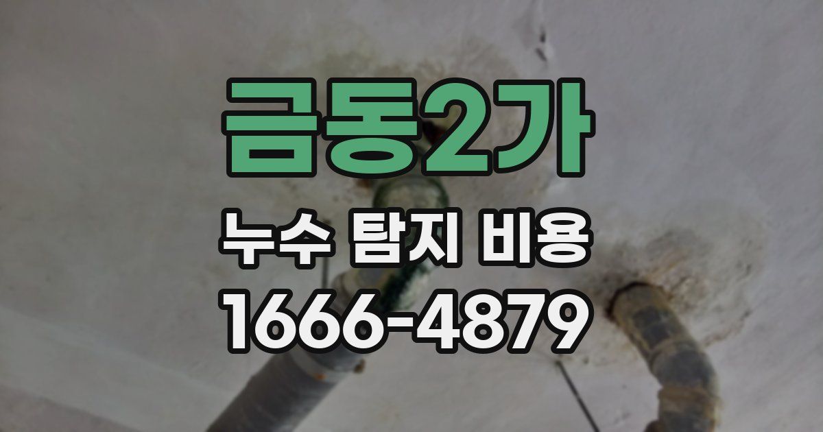금동2가 누수 탐지 비용