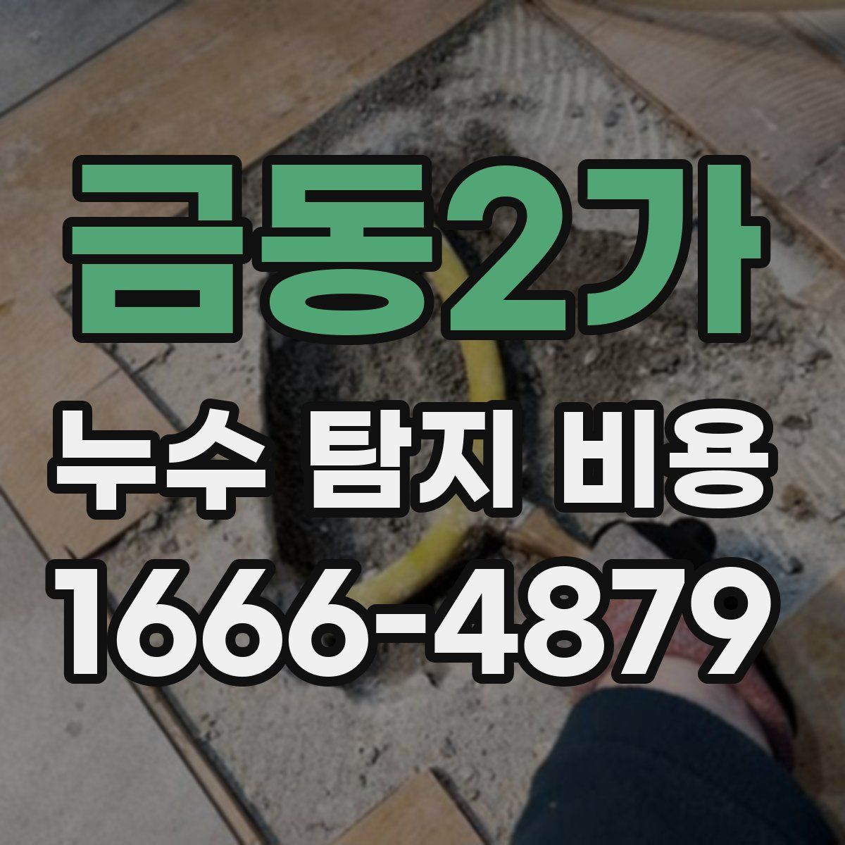 금동2가 누수 탐지 비용