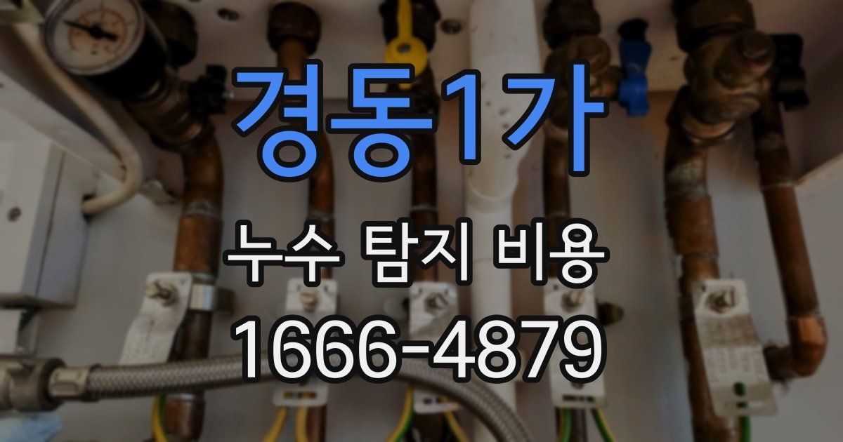 경동1가 누수 탐지 비용