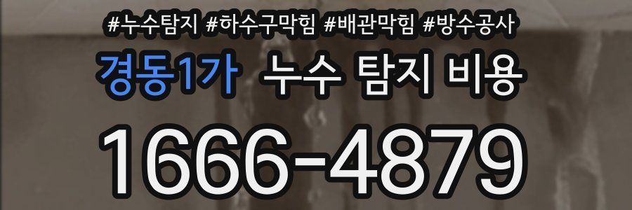 경동1가 누수 탐지 비용