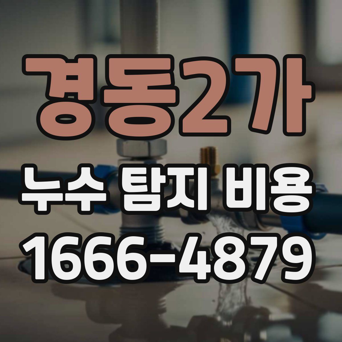 경동2가 누수 탐지 비용