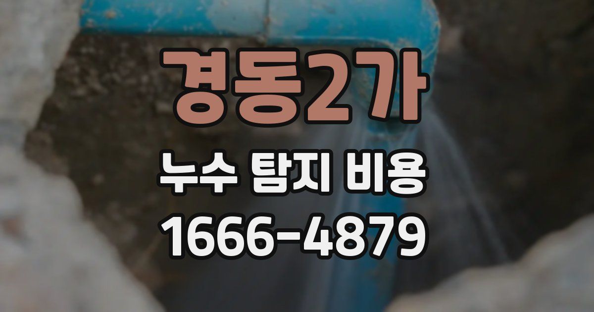 경동2가 누수 탐지 비용