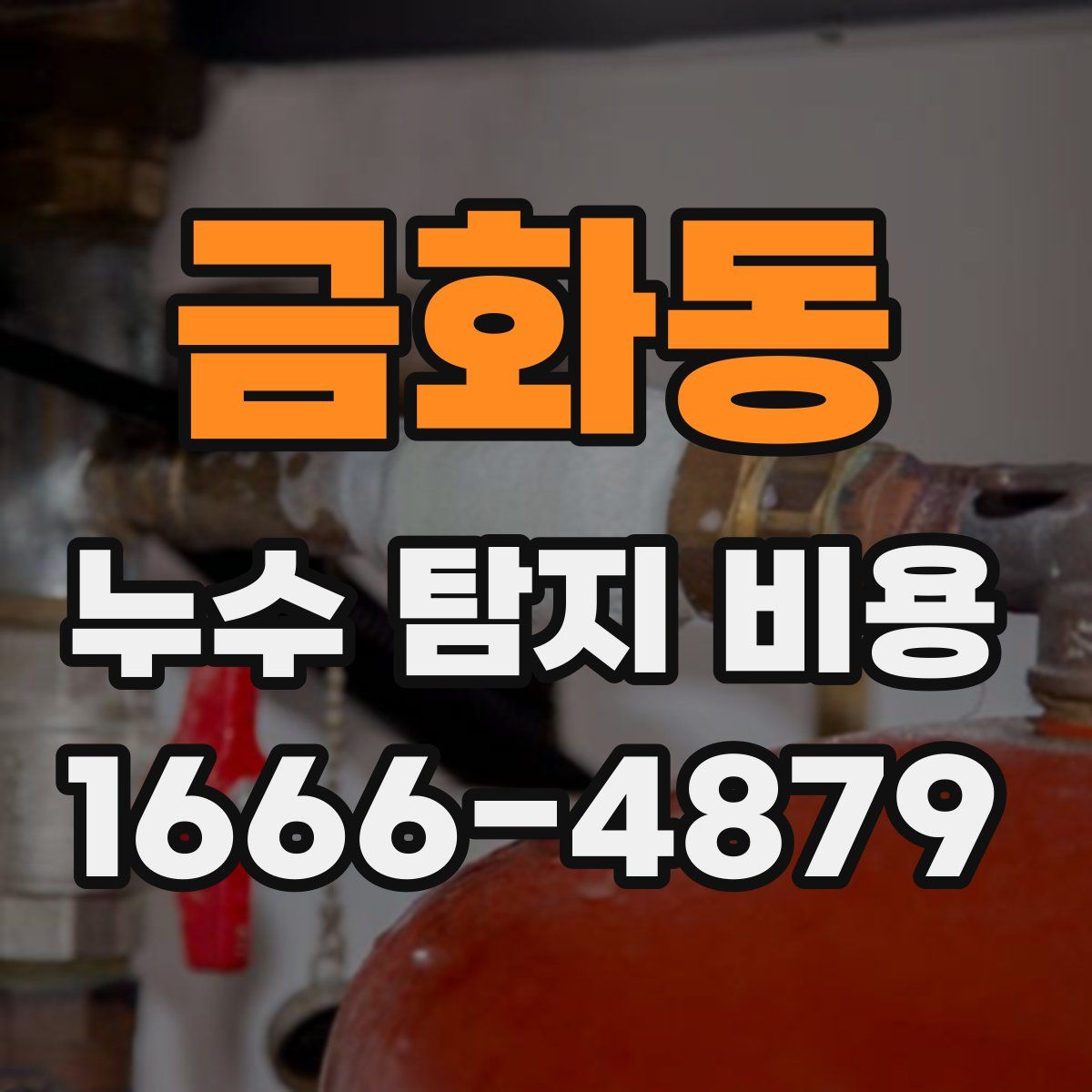 금화동 누수 탐지 비용