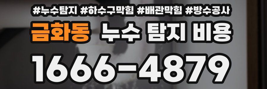 금화동 누수 탐지 비용