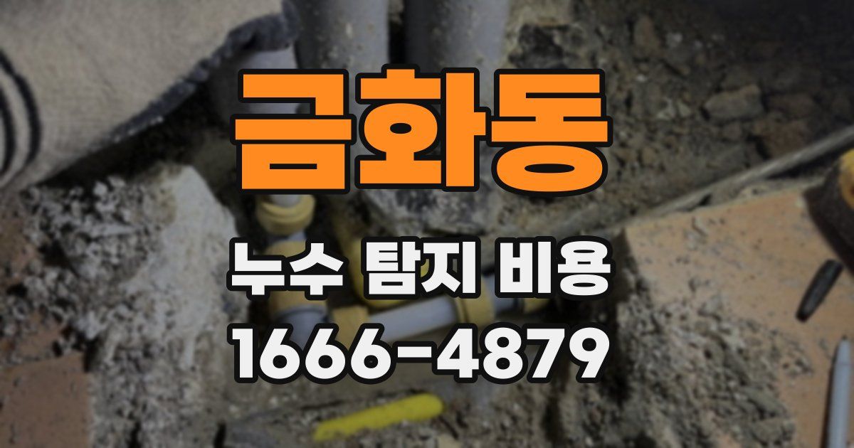 금화동 누수 탐지 비용