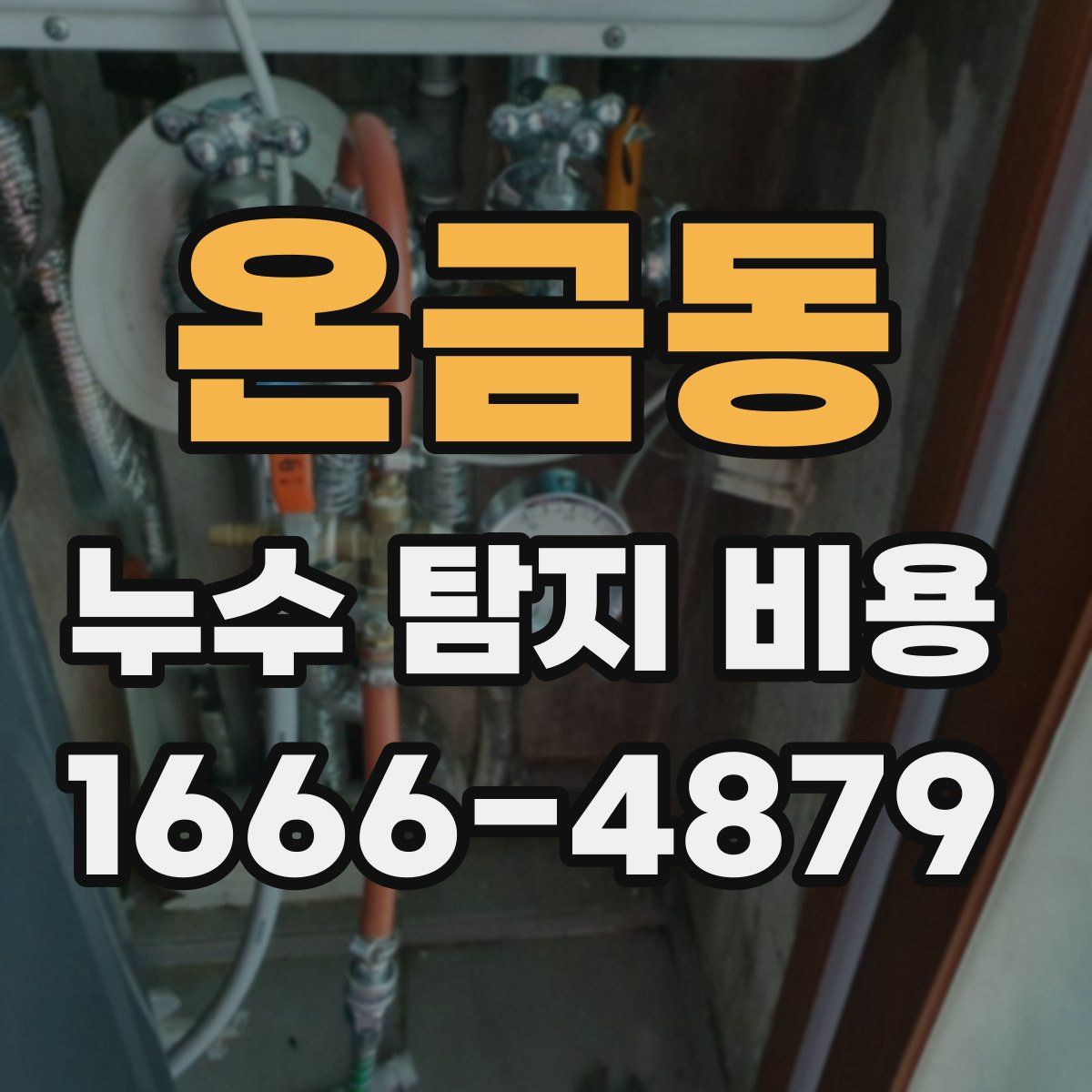 온금동 누수 탐지 비용