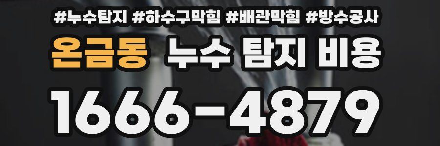 온금동 누수 탐지 비용