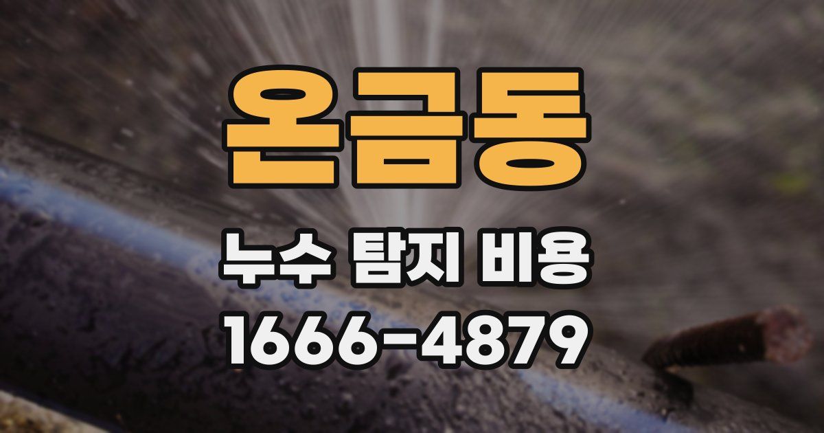 온금동 누수 탐지 비용
