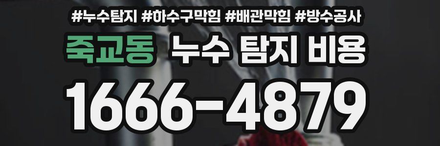 죽교동 누수 탐지 비용