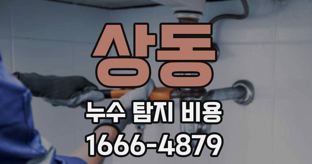 상동 누수 탐지 비용