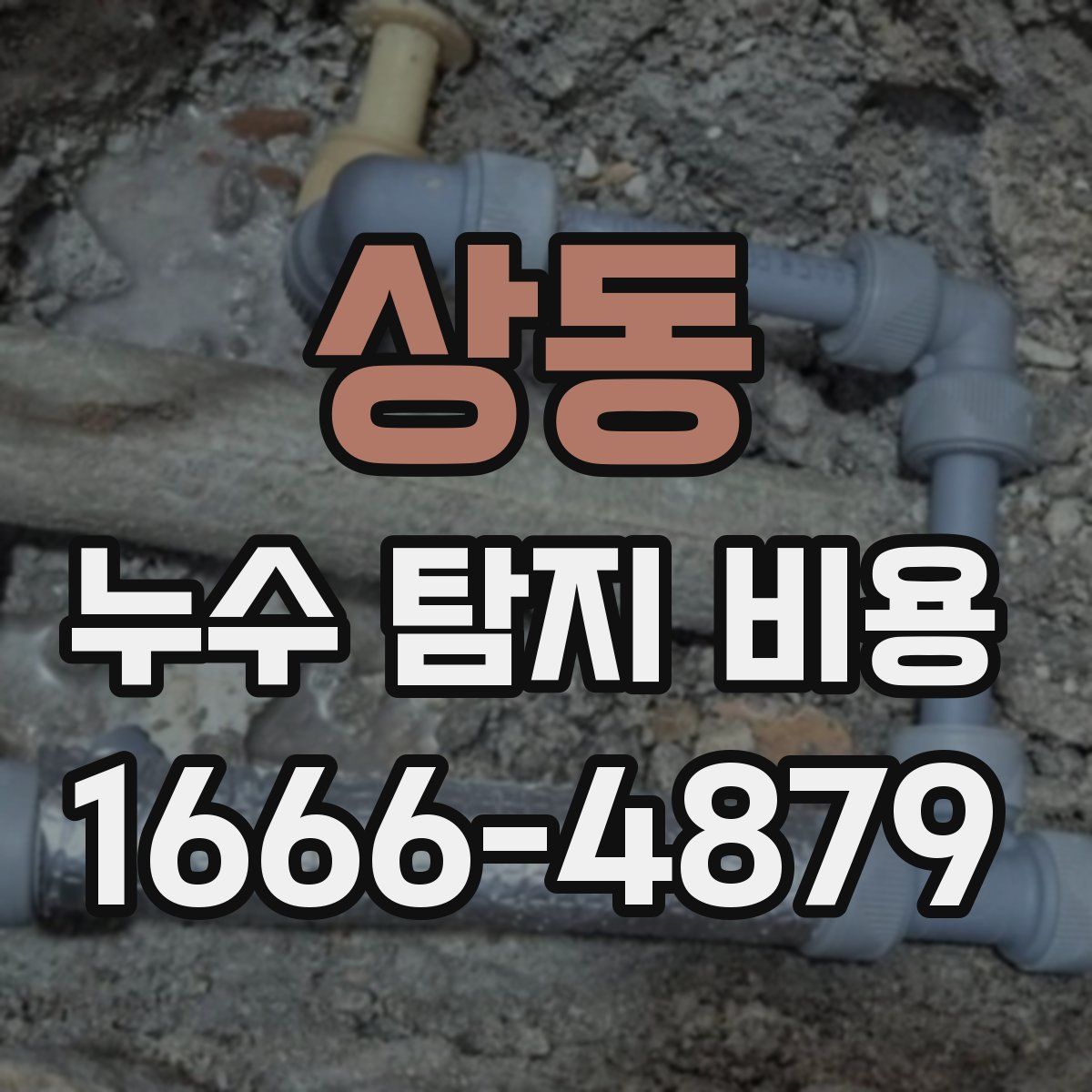 상동 누수 탐지 비용