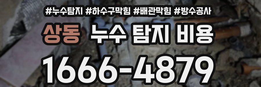 상동 누수 탐지 비용
