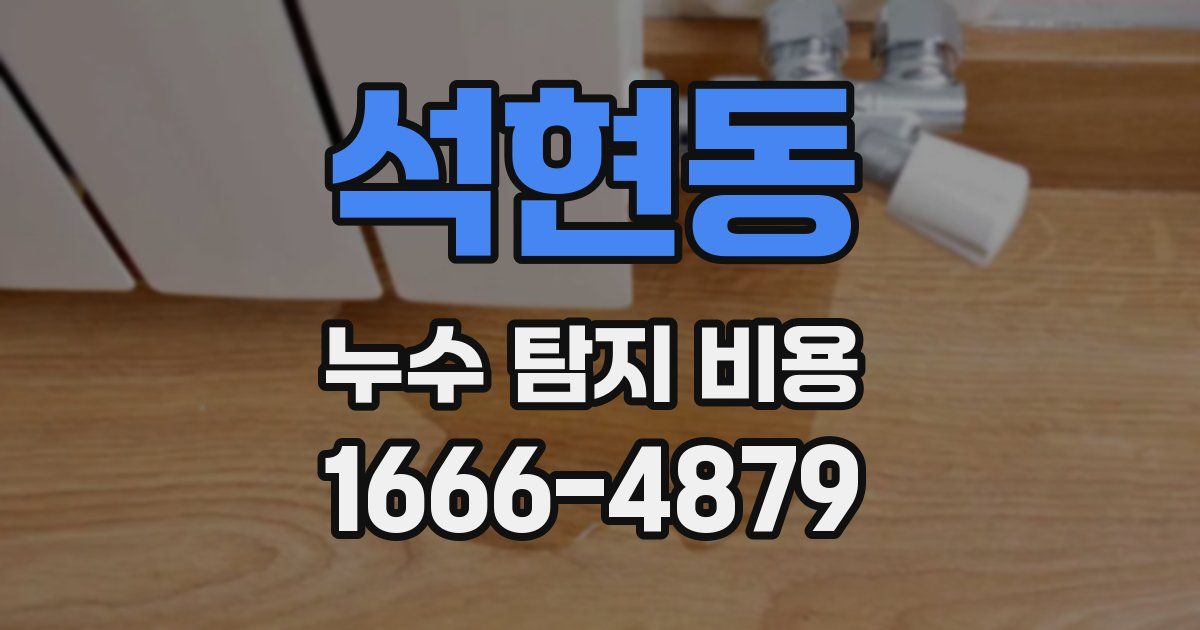 석현동 누수 탐지 비용