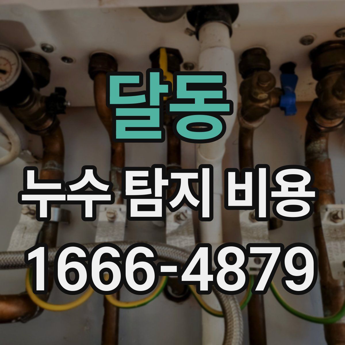 달동 누수 탐지 비용
